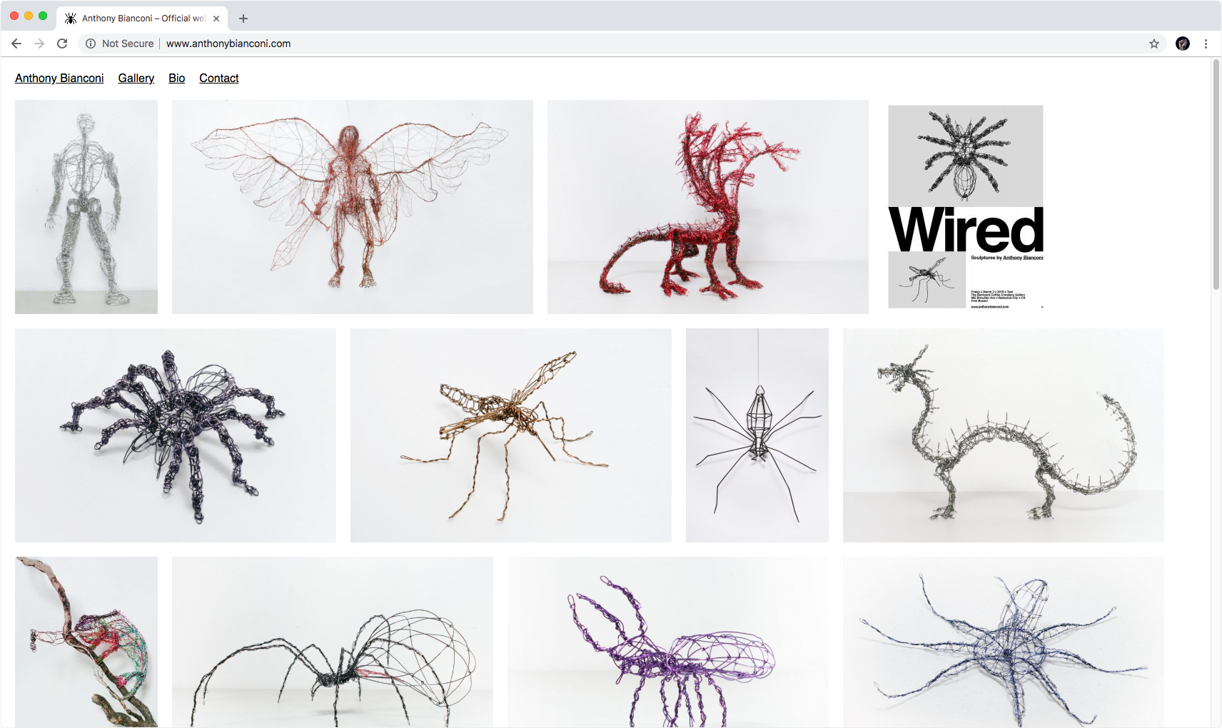 Anthony Bianconi Website