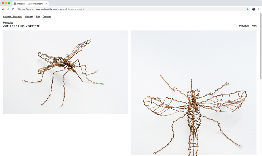 Anthony Bianconi Website