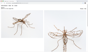 Anthony Bianconi Website