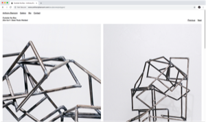 Anthony Bianconi Website