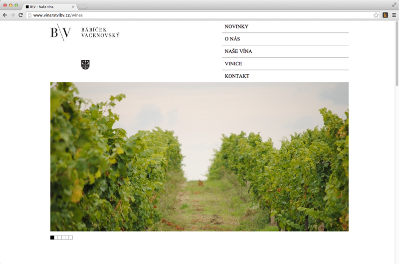 Babicek Vacenovsky Website