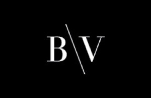 Babicek Vacenovsky Logo