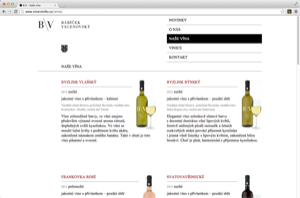 Babicek Vacenovsky Website