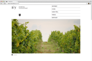 Babicek Vacenovsky Website