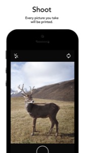 Analogue Camera In Your Iphone 10