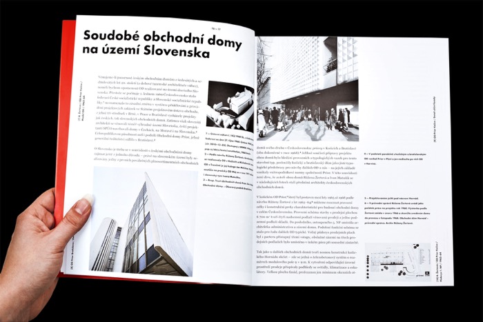 Maje Book 22