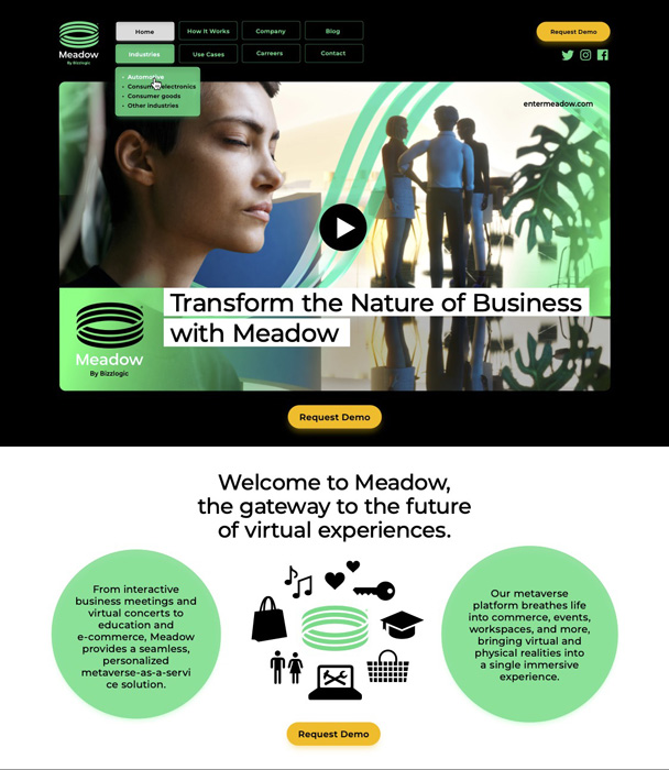 Bizzlogic Meadow Metaverse 10